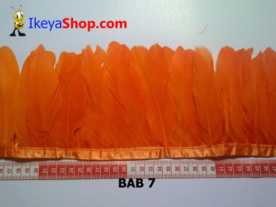 Bulu angsa BAB 7   feather  large2
